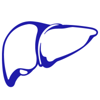 Target on liver icon